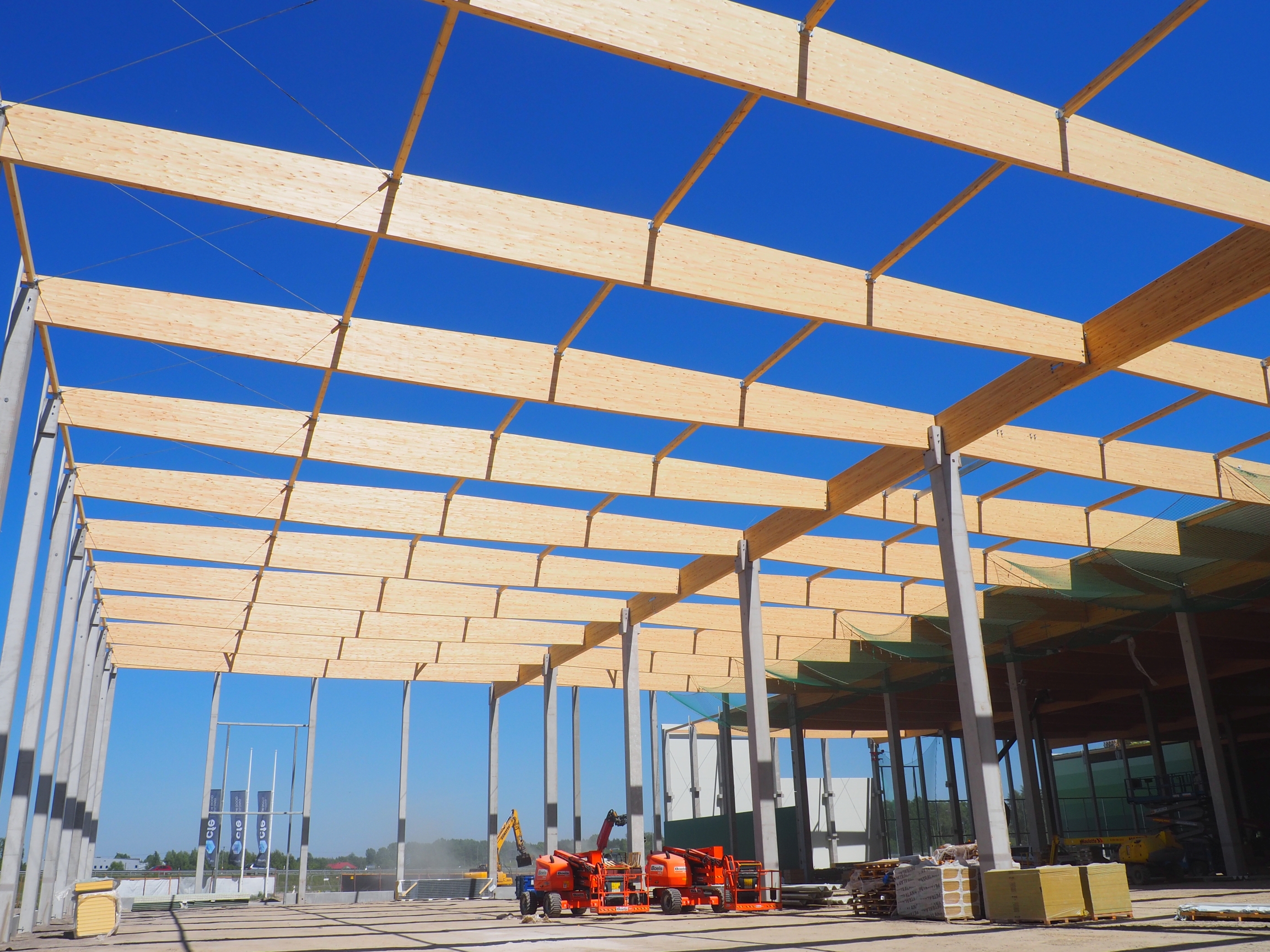 Narada o drewnie - obrazek 6