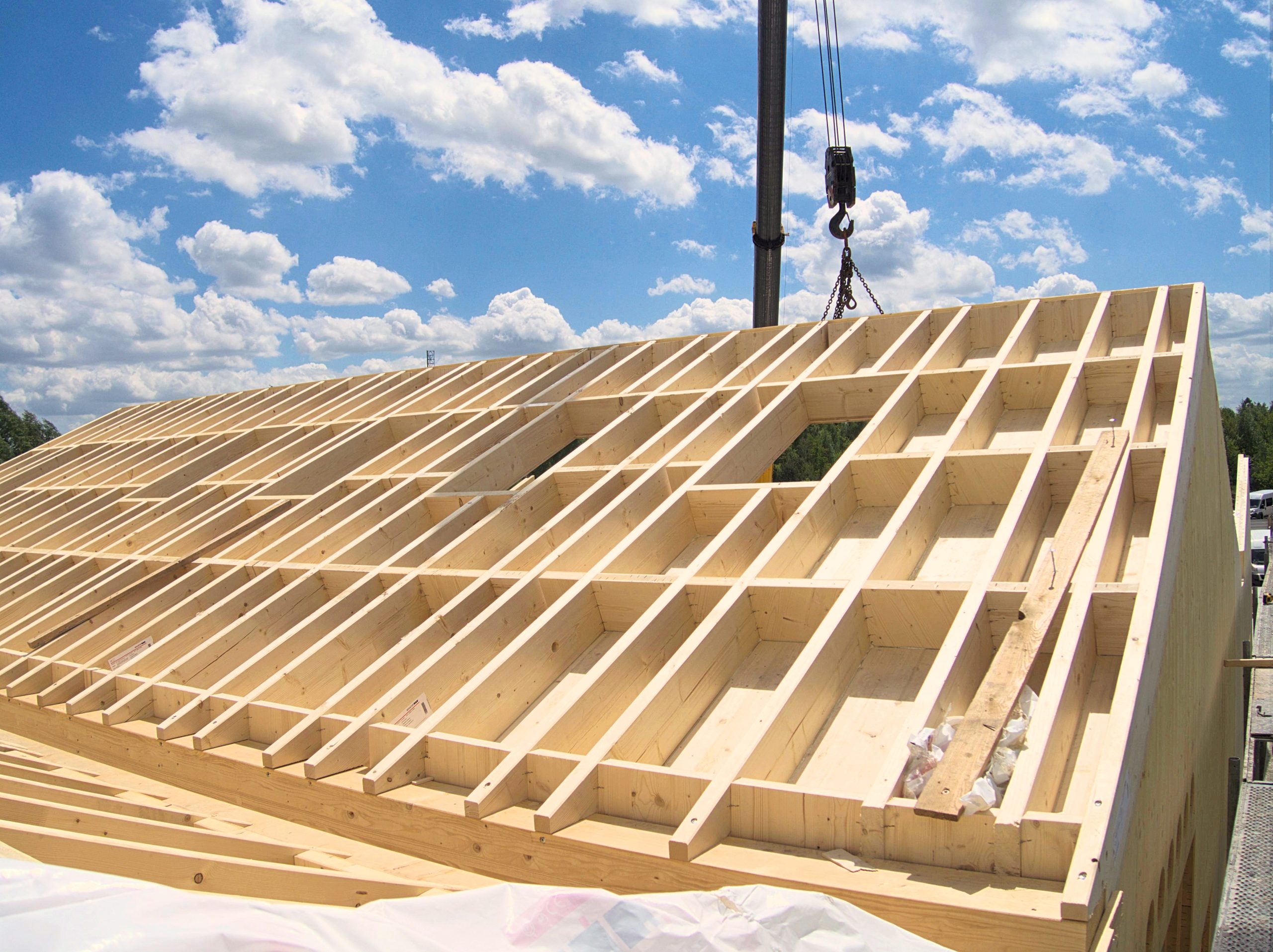 Narada o drewnie - obrazek 5